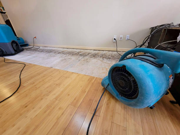 Professional Basement Flood Cleanup technician working in Fort Hood, TX